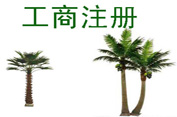 淺談青島公司注冊的主要類型及資金要求